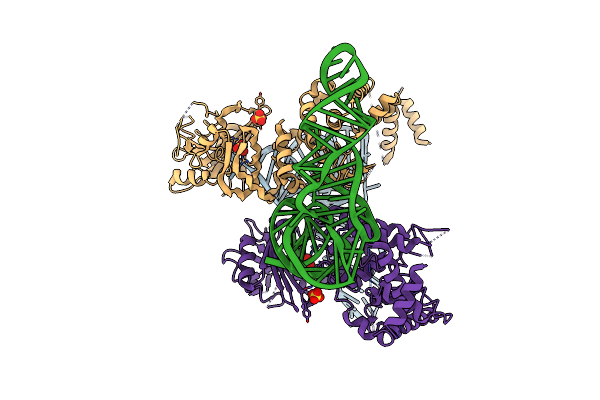 3WFS image