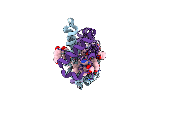 3WFX image