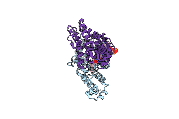 3WHB image