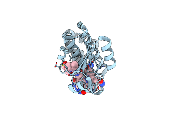 3WHP image
