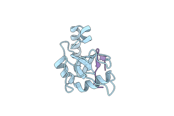 3WIM image