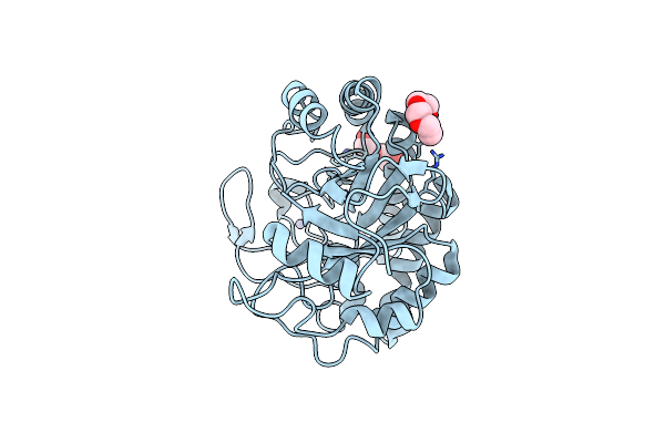 3WJS image