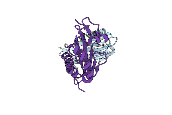 3WMD image