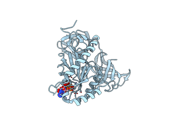 3WNB image