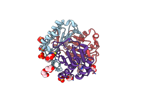 3WNR image