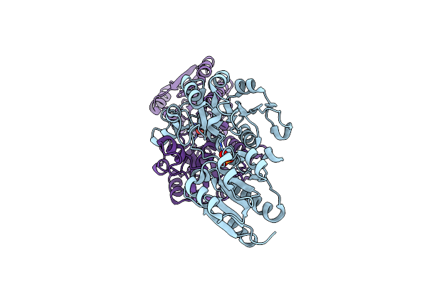 3WNV image