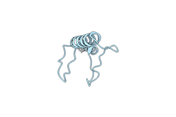 3WPP image