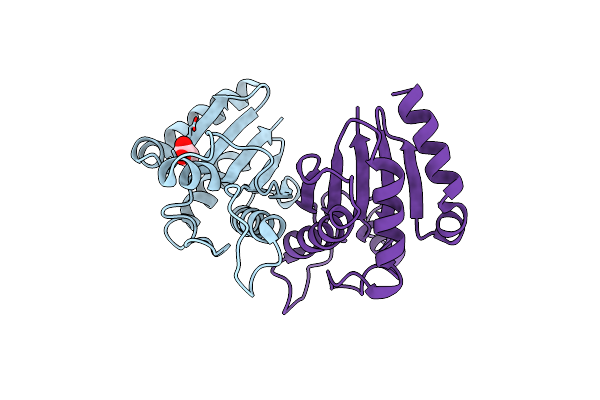 3WPW image