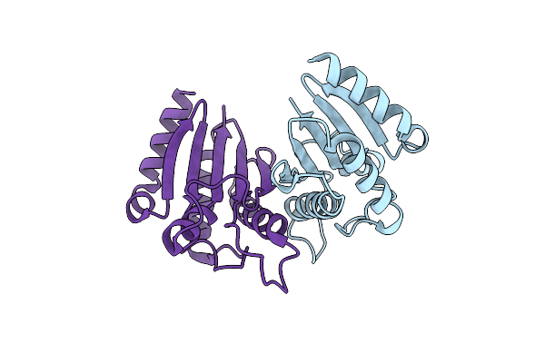 3WPX image