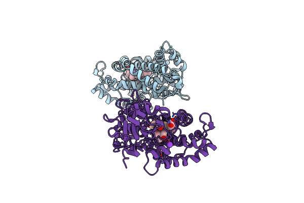 3WRH image