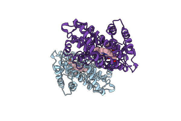 3WRI image