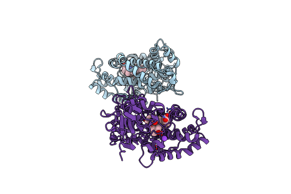 3WRM image