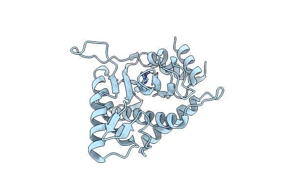3WRO image