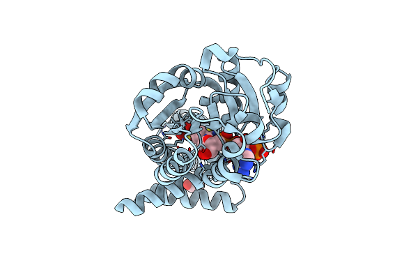 3WS7 image