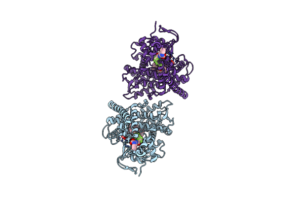 3WSP image