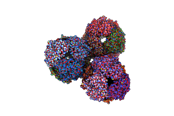 3WST image