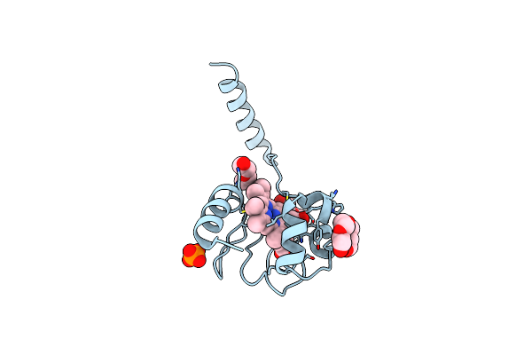 3WUI image