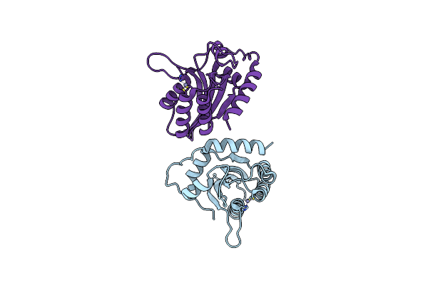3WUS image
