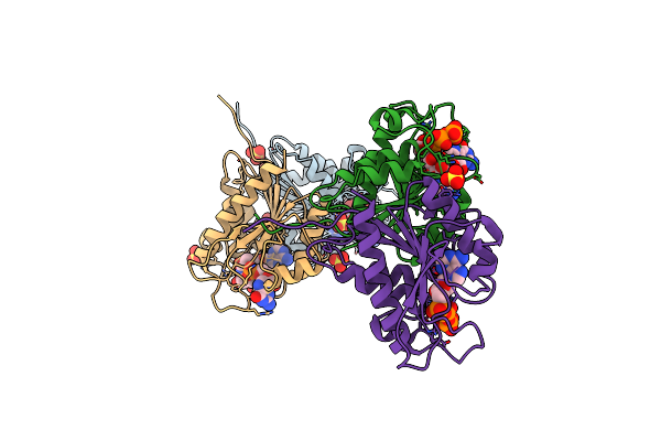 3WV9 image