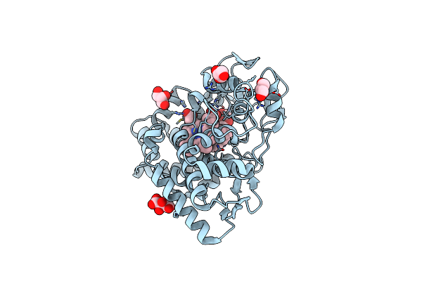 3WVS image
