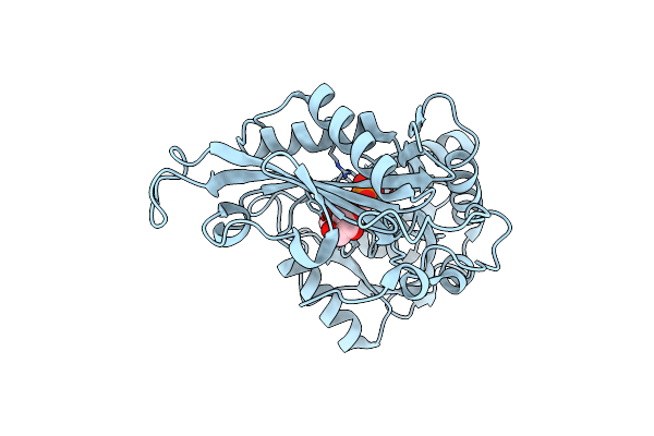 3WWH image