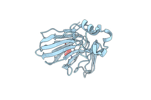 3WXS image