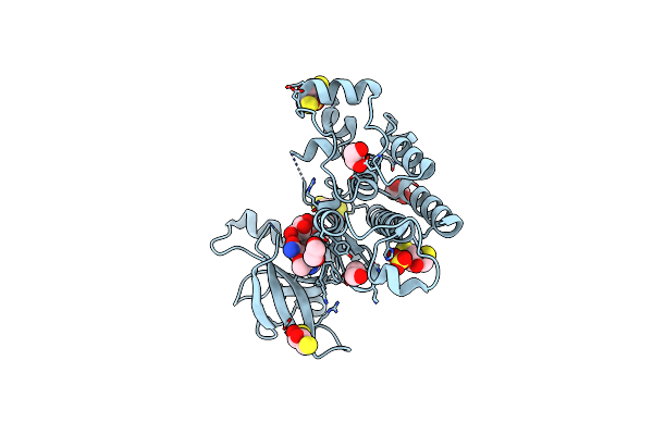 3WZD image