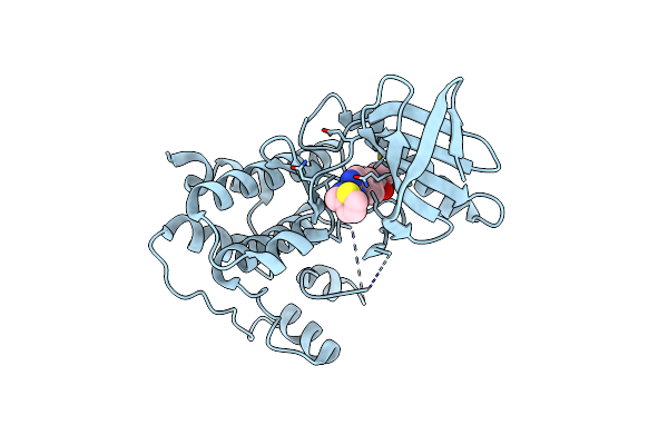 3WZK image