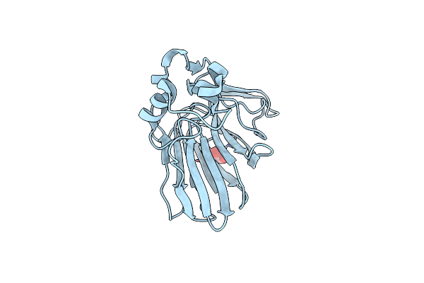 3X3S image