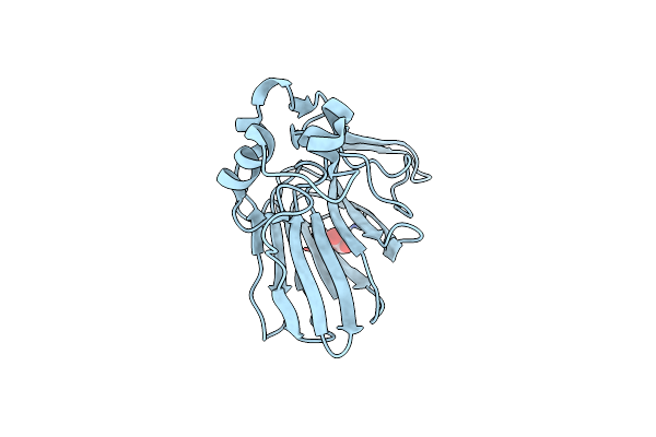 3X3T image
