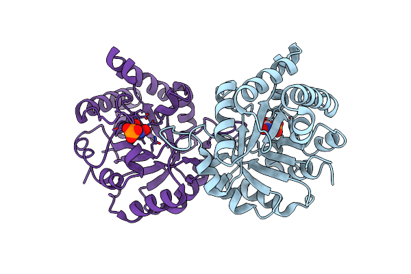 3YPI image