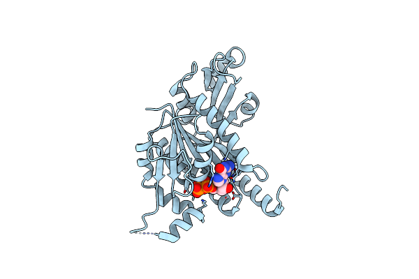 3ZBP image