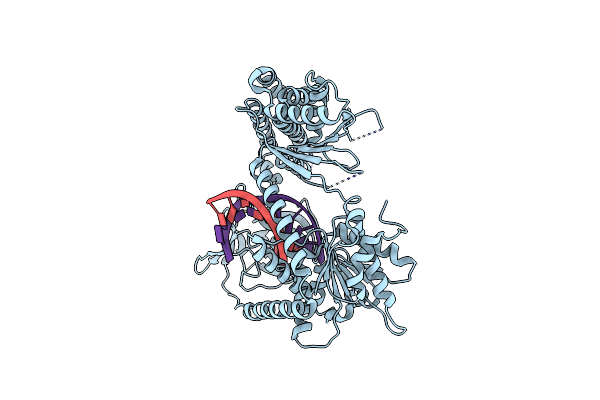 3ZD6 image