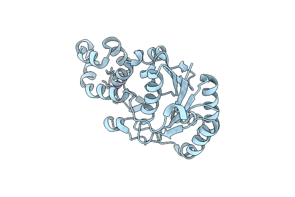 3ZD9 image
