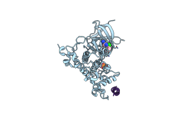 3ZDI image