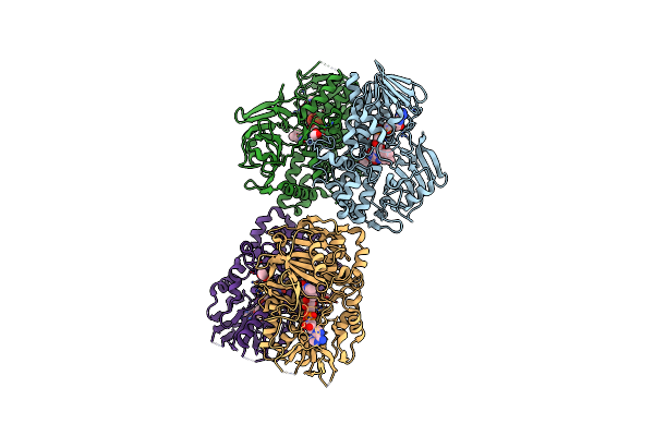 3ZDN image