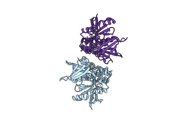 3ZDT image