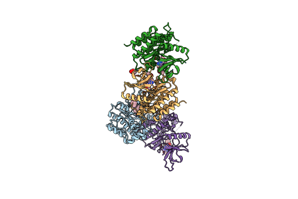 3ZEP image