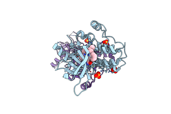 3ZEW image