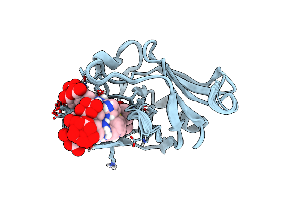 3ZGP image