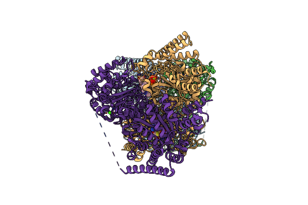 3ZHS image