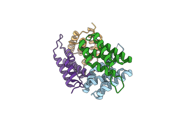 3ZIB image