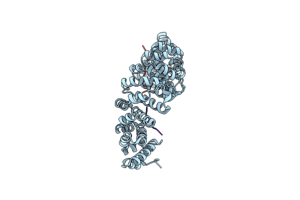 3ZIN image