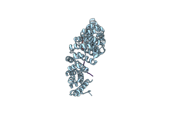 3ZIO image