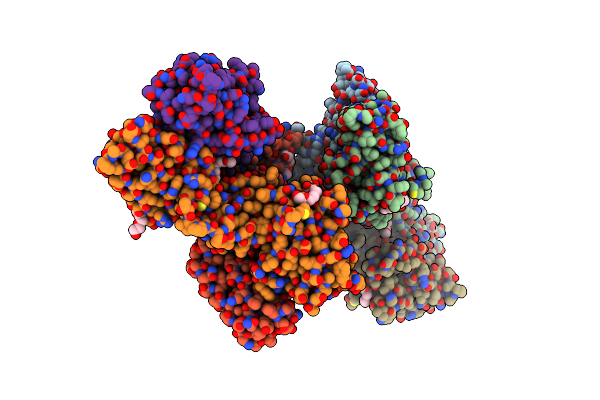 3ZIW image