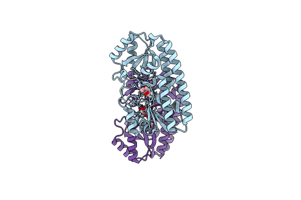 3ZKA image