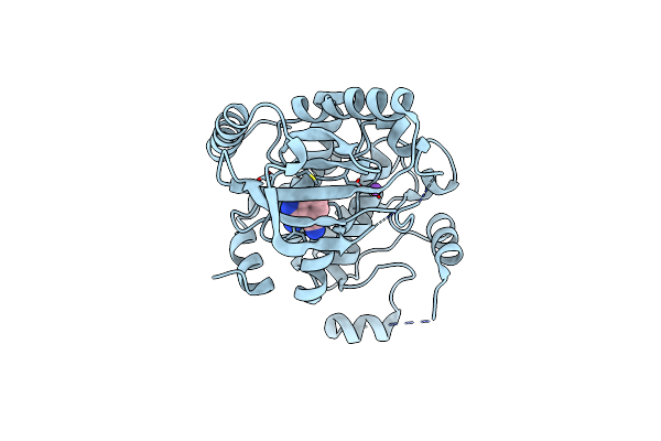 3ZLY image