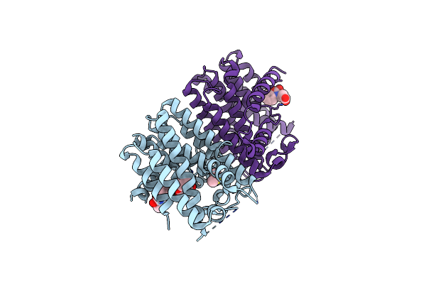 3ZMB image