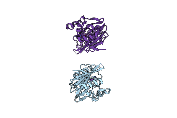 3ZNB image