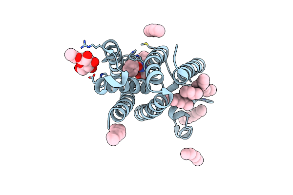 3ZOT image